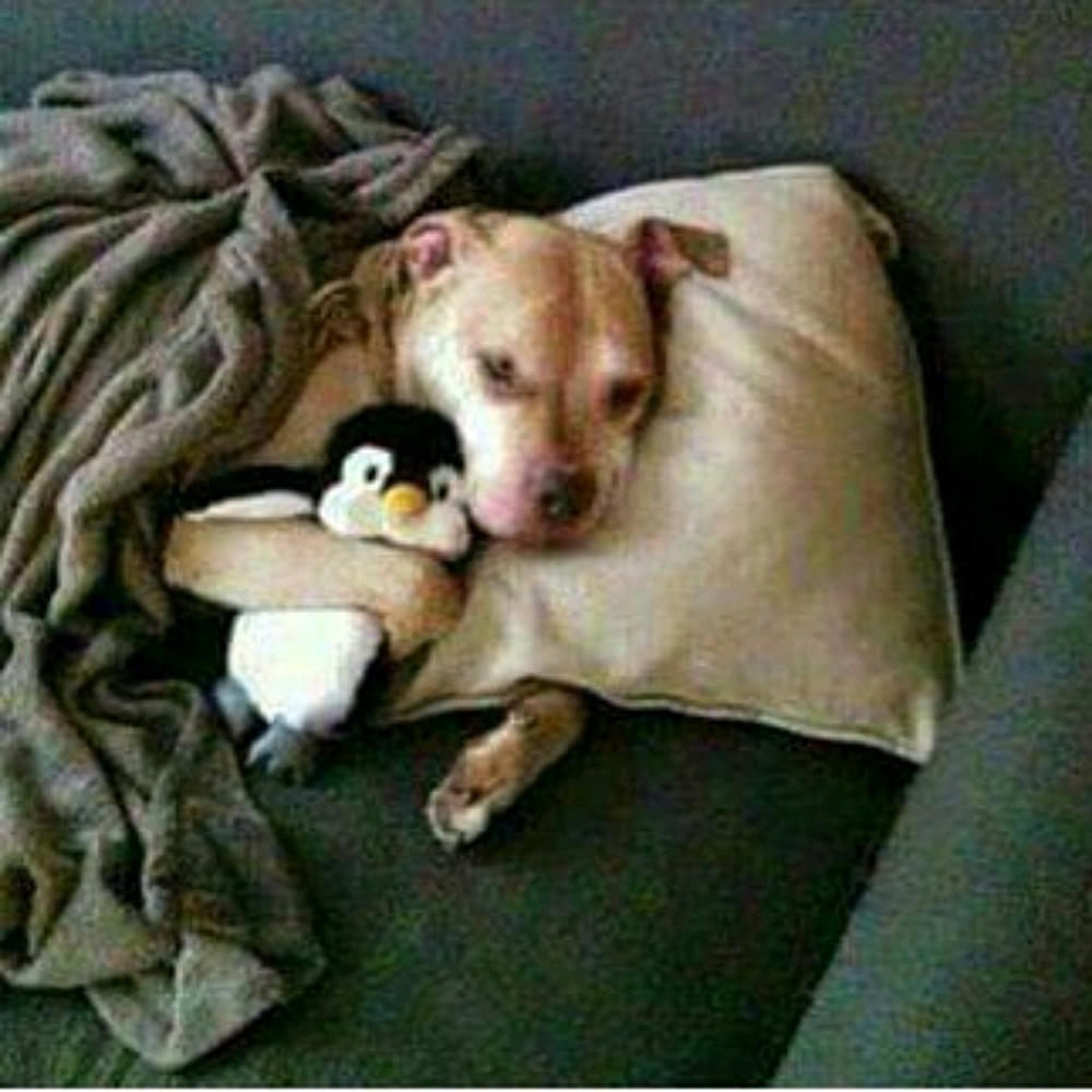 Meet your Posher, Wendy